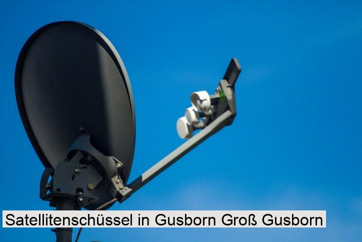 Satellitenschüssel in Gusborn Groß Gusborn